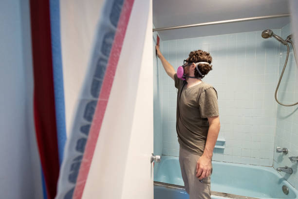 Best Comprehensive Air Testing for Mold Contaminants  in St Stephen, SC