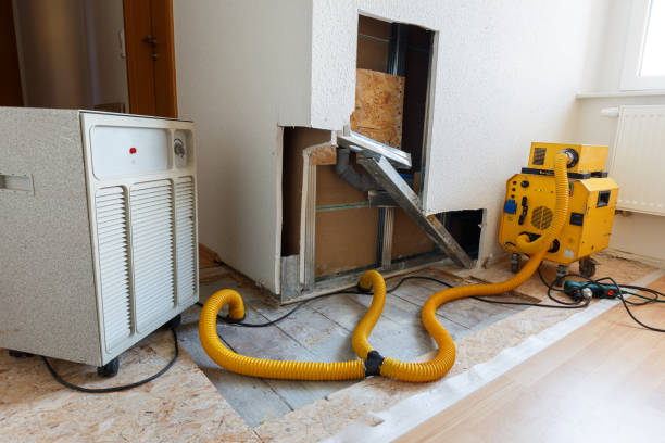 Best Residential Mold Inspection & Testing  in St Stephen, SC